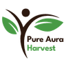 Pure Aura Harvest Logo