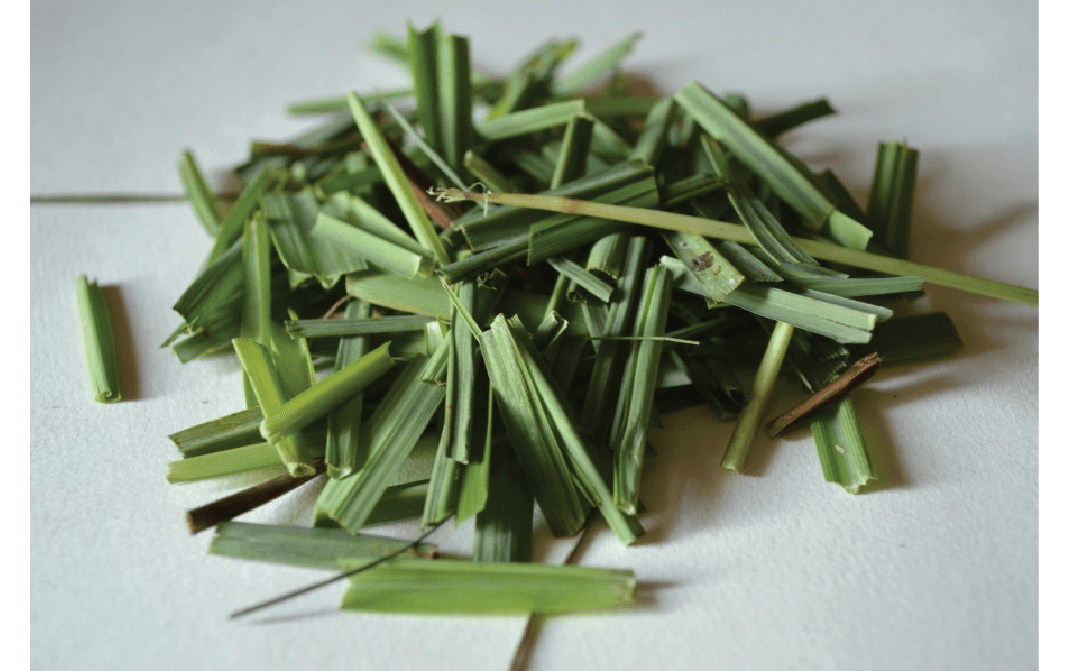 Dried Lemongrass Leaves by Pure Aura Harvest