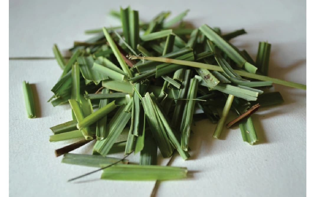 Dried Lemongrass Leaves by Pure Aura Harvest